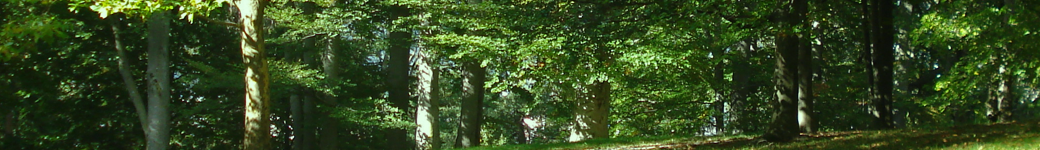 Best Possible Gay Chat Web Page